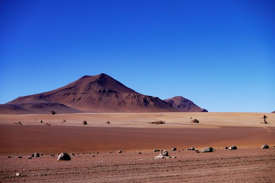 136 Dalì Desert Bolivia.jpg